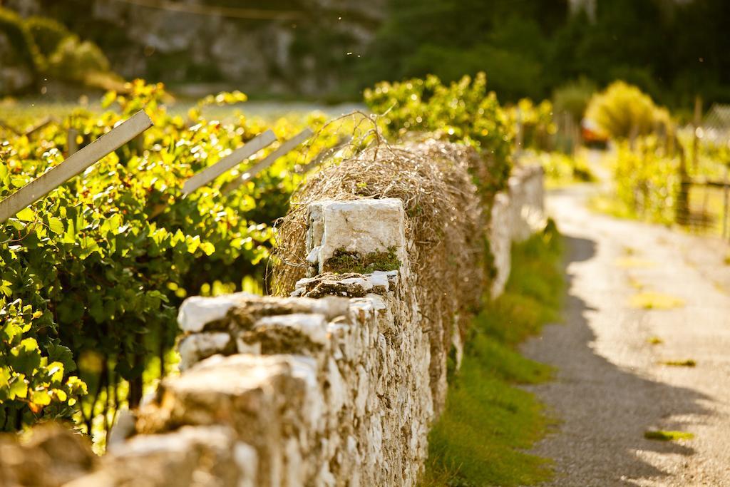 Hotel Continental - Tonelli Hotels Torbole Sul Garda Luaran gambar